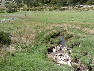 Sin nombre 30042026-2 - imagen 2