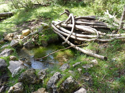 Sin nombre 31052023 - imagen 5