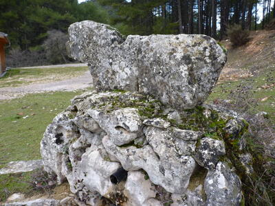 Fuente de Tejadillos - imagen 3