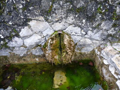 Fuente de Tejadillos - imagen 8