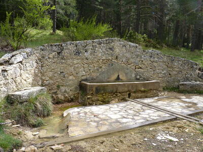 Fuente del vivero - imagen 1
