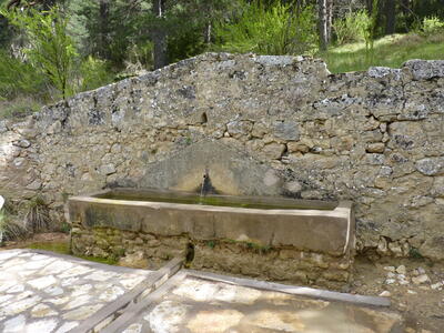 Fuente del vivero - imagen 2