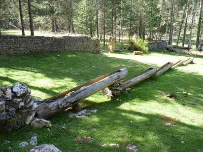 Fuente del vivero - imagen 11