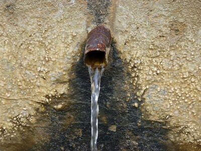 Fuente del vivero - imagen 4
