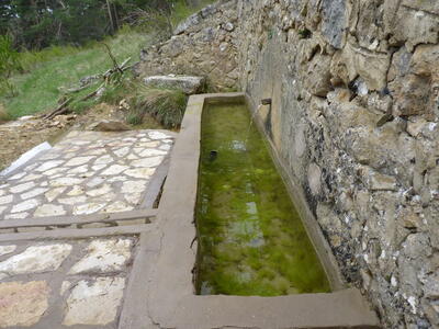 Fuente del vivero - imagen 5