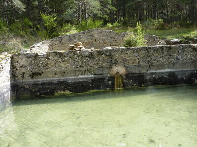 Fuente del vivero - imagen 7