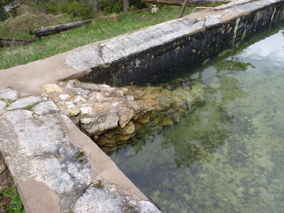 Fuente del vivero - imagen 8
