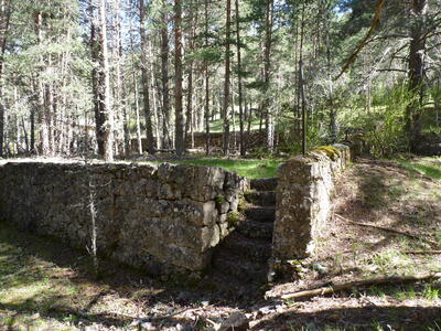 Fuente del vivero - imagen 10