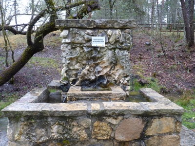 Fuente de la Tía Perra (área recreativa II) - imagen 1