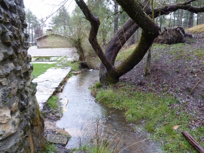 Fuente de la Tía Perra (área recreativa II) - imagen 7