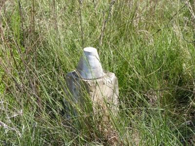 Fuente del Palo - imagen 1
