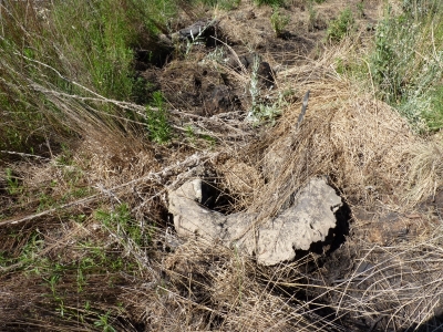 Fuente del Palo - imagen 5