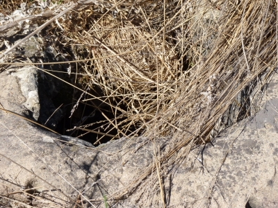Fuente del Palo - imagen 6