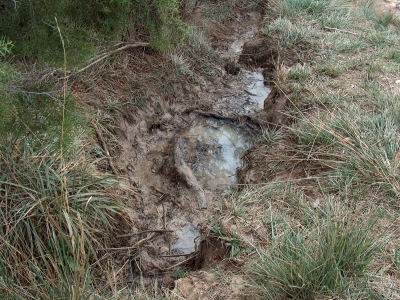 Fuente de Cabeza Mediana - imagen 2