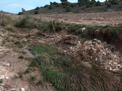 Manantial del Charcón - imagen 2