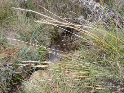 Fuente del Collado - imagen 1