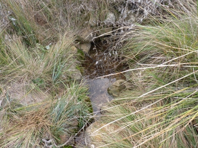 Fuente del Collado - imagen 3