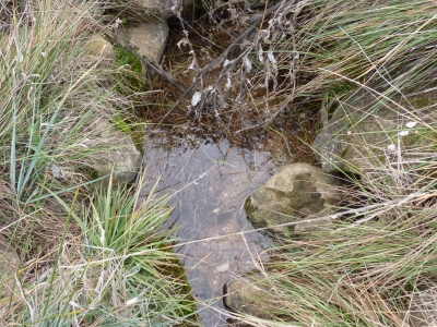 Fuente del Collado - imagen 4