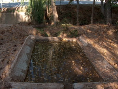 La Fuente - imagen 7