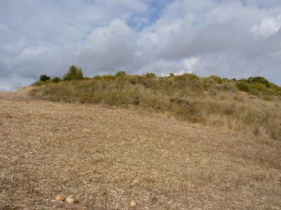 Fuente de la Hoya del Enebro - imagen 4