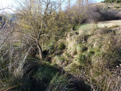 Fuente de la Huerta de Valdespino - imagen 1