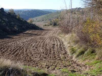 Fuente de la Huerta de Valdespino - imagen 7