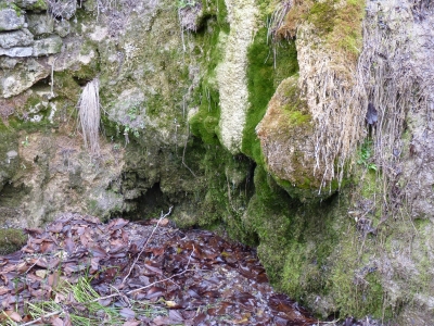 Manantial de la Huerta - imagen 1