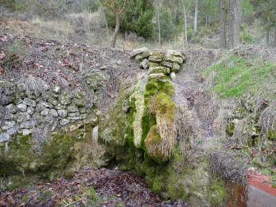 Manantial de la Huerta - imagen 3