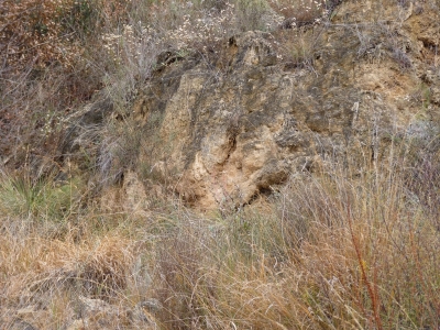 Manantial del Modorro - imagen 1