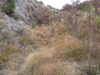 Manantial del Modorro - imagen 2