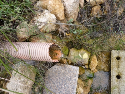Manantial del Modorro - imagen 4