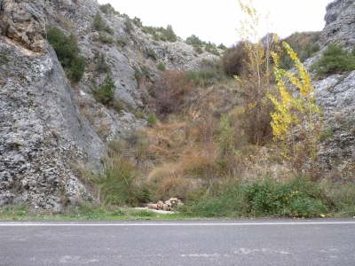 Manantial del Modorro - imagen 6
