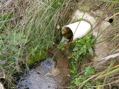 Fuente del Piojo I - imagen 1