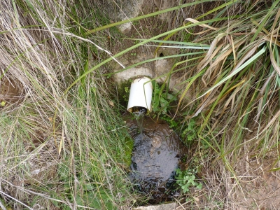 Fuente del Piojo I - imagen 3