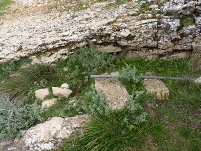 Fuente del Piojo II - imagen 3