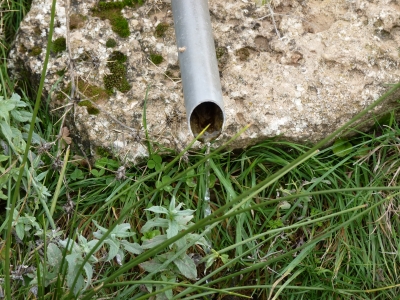 Fuente del Piojo II - imagen 6