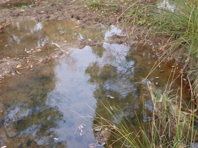 Fuente del Porrinal - imagen 1