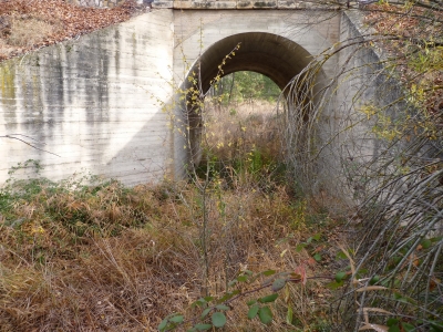 Fuente del Puente de la Toba - imagen 2