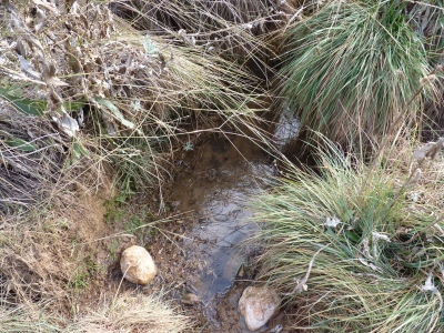 Fuente de la Sangrera - imagen 6