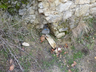 Fuente del Santo - imagen 4