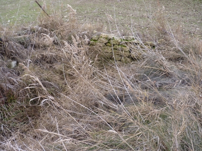 Fuente del Sapillo - imagen 2