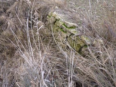 Fuente del Sapillo - imagen 3