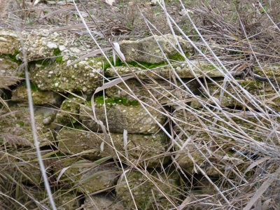 Fuente del Sapillo - imagen 4