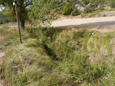 Fuente del Sauco - imagen 1