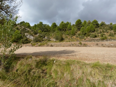 Fuente del Sauco - imagen 2