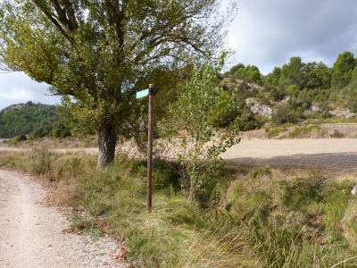 Fuente del Sauco - imagen 3