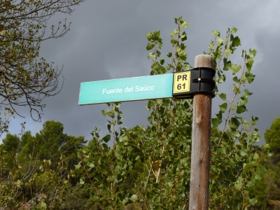 Fuente del Sauco - imagen 5