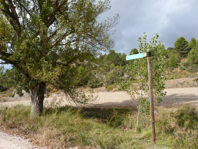 Fuente del Sauco - imagen 6