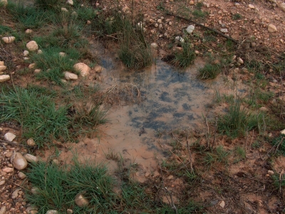 Fuente del Tesoro del Tío Pollo - imagen 3