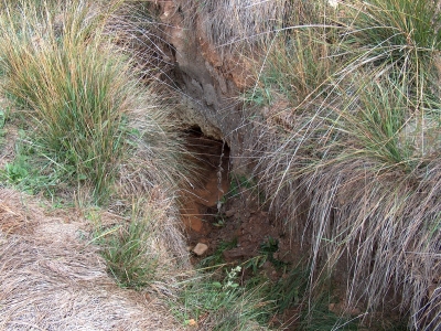 Fuente del Tesoro del Tío Pollo - imagen 4